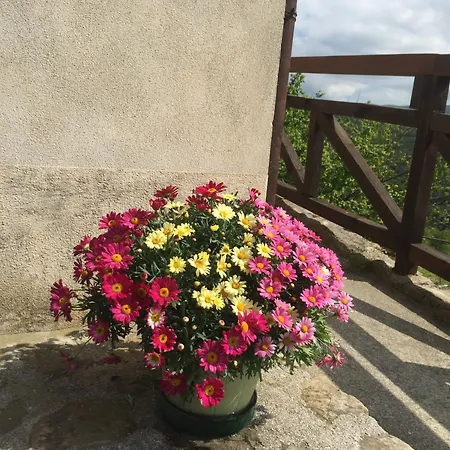 Residenza Cima Le Vigne 3*
